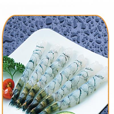 PDTO Butterfly Black Tiger