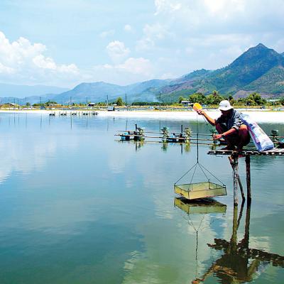 mở rộng 1 - không xài