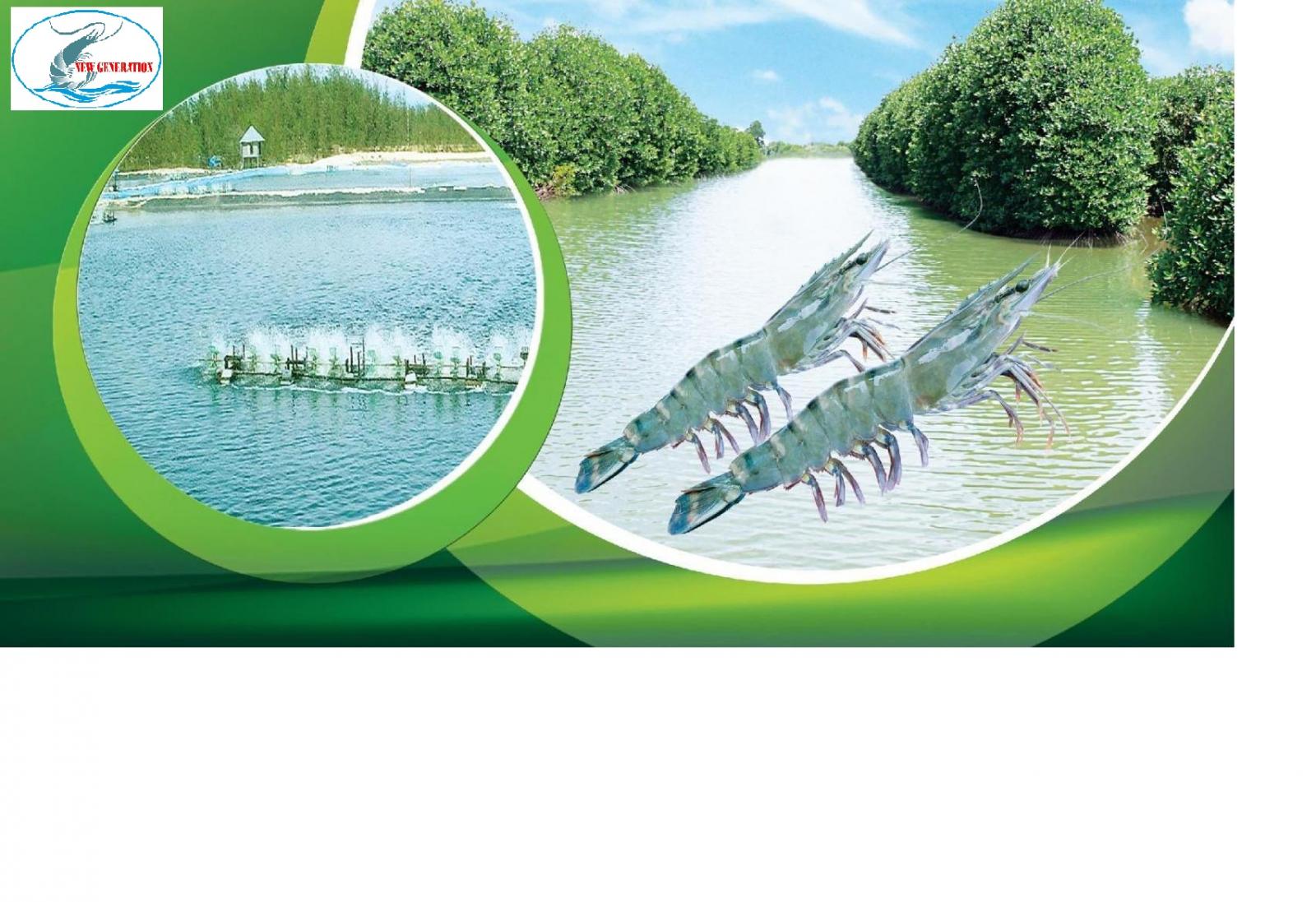 mở rộng 1 - không xài